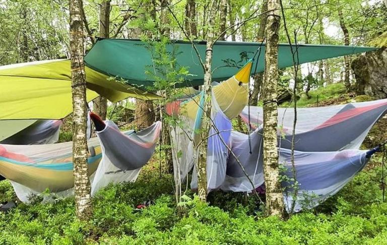 Bilde av 7-8 hengekøyer i ulike farger som henger i trærne i en grønn skog, med tarp/turtak over, festet i trærne.